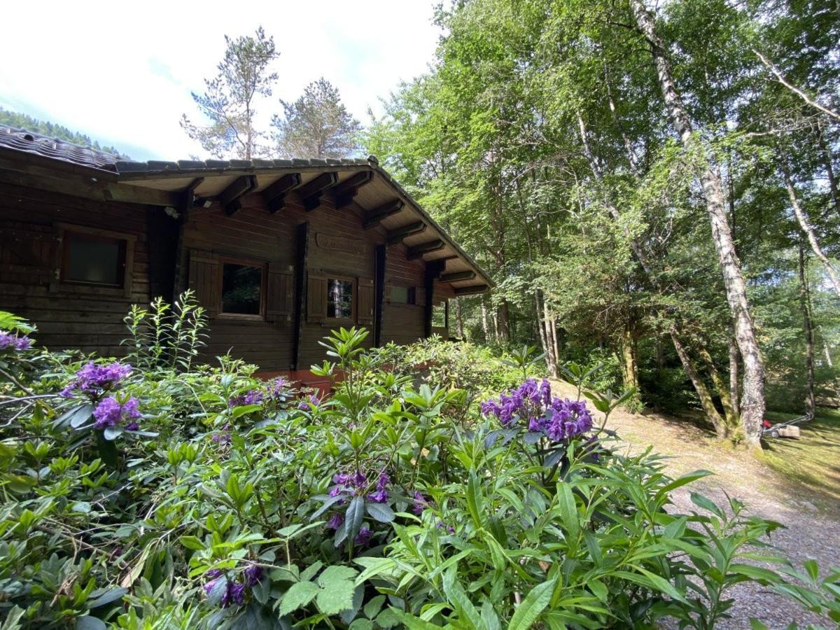 Le Fishing Lodge Chalet En Bois Avec Bain Nordique La Bresse Exteriör bild
